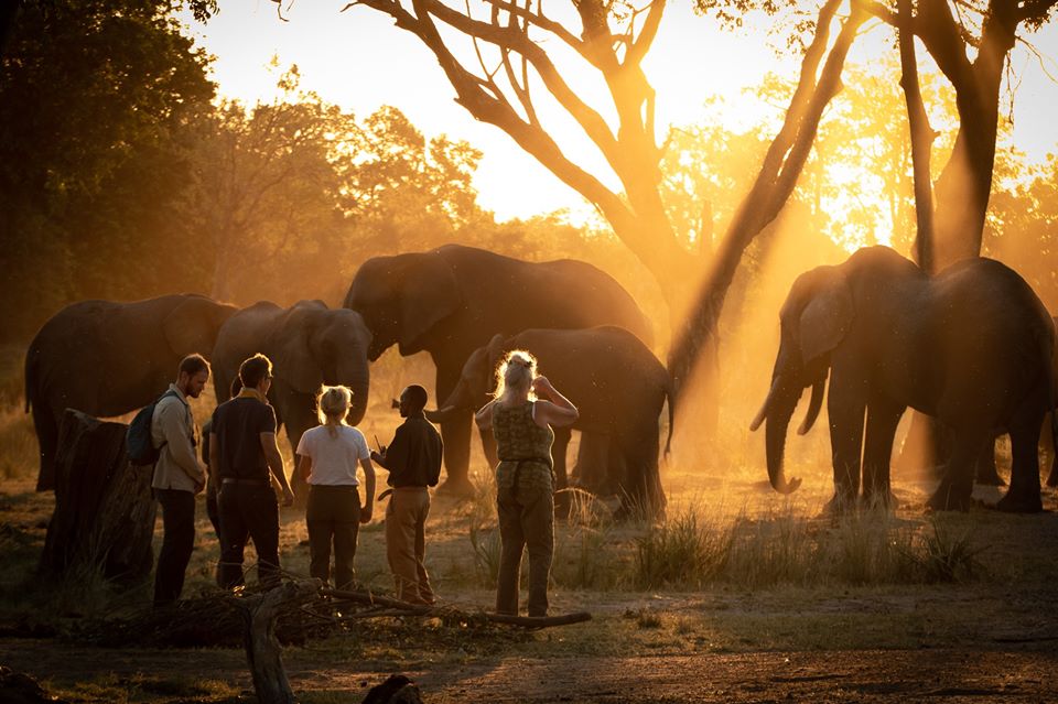 elephant cafe.jpg